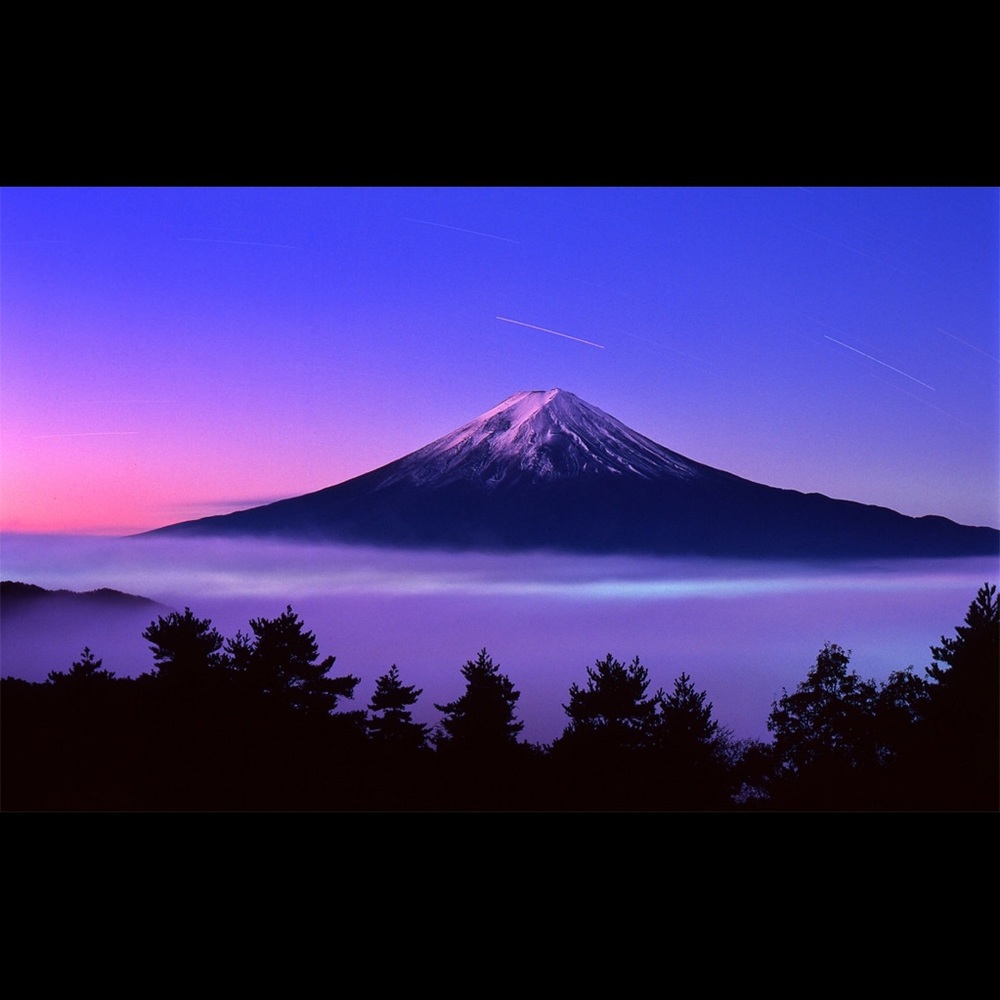 Meet your Posher, Jesse